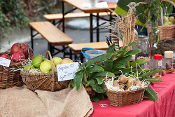 Auf dem Bild sind Körbe mit Obst und Gemüse zu sehen, die auf einem Tisch angerichtet sind.