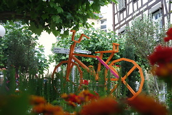 Auf dem Bild ist ein künstlerisch umgestaltetes Fahrrad zu sehen, das im Rahmen der Aktion Aalen City blüht abgefahren in der Innenstadt platziert wurde.