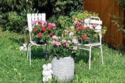 Auf dem Bild sind zwei Stühle mit Blumen zu sehen.
