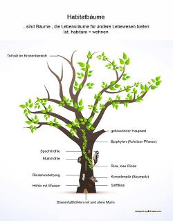 Habitatbaum 