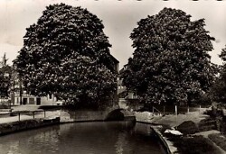Auf dem Foto ist ein Fluss zu sehen, über den eine Brücke führt, die von zwei Bäumen eingerahmt wird. Es ist eine Schwarz-Weiß-Aufnahme