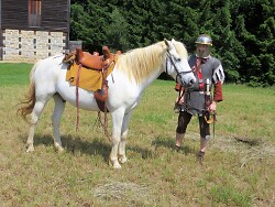 Auf dem Bild ist ein römisch gekleideter Ritter mit einem weißen Pferd zu sehen.