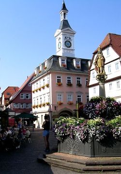 The historic old city hall building with its ?spy tower