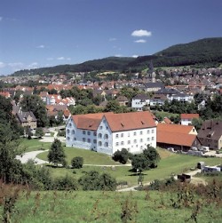 View over Wasseralfingen with the castle in the foreground 